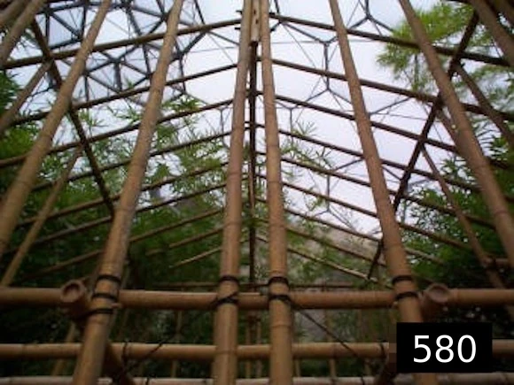 bamboo